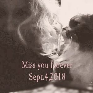 Meet your Posher, Gigi